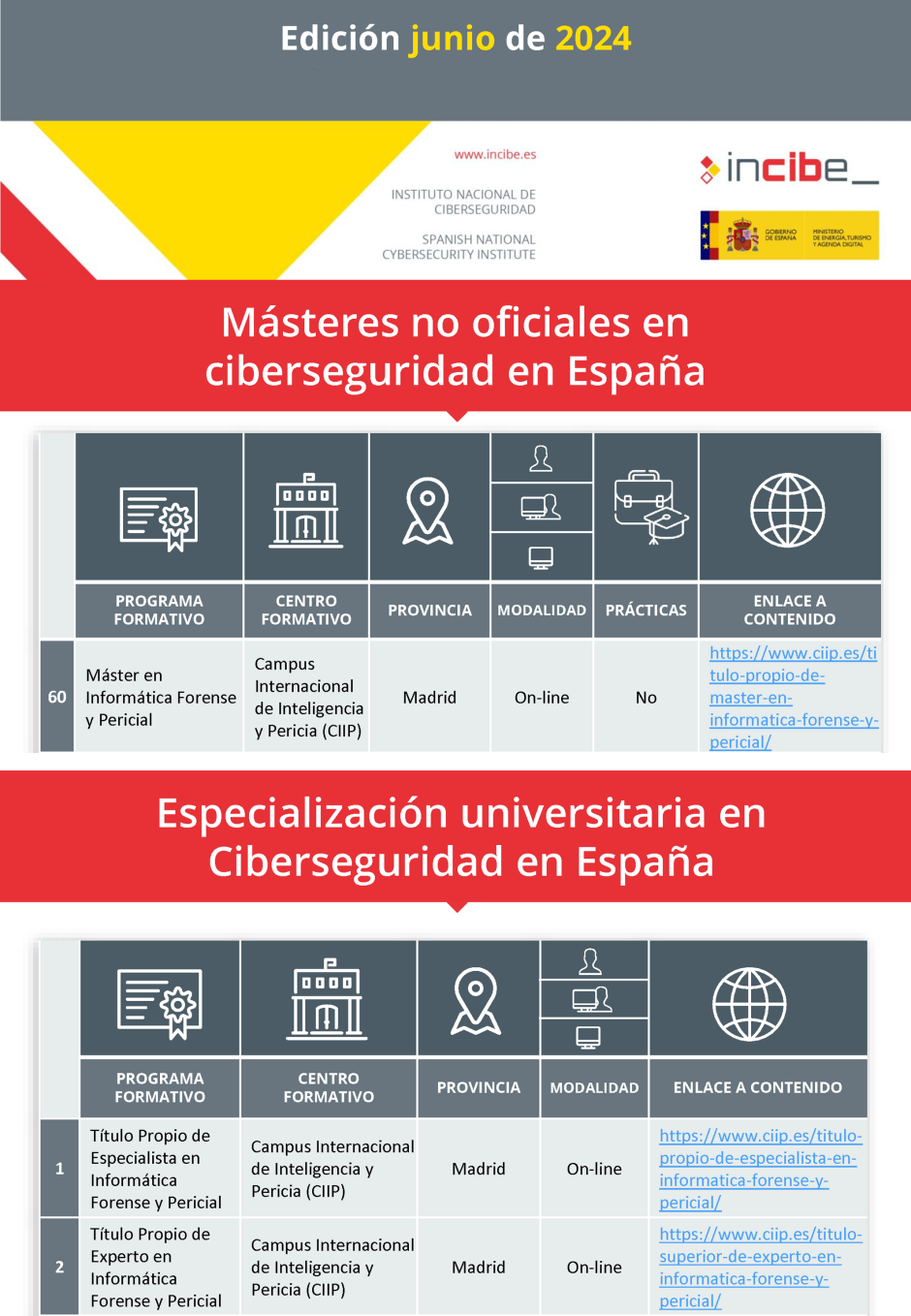 El Instituto Nacional de Ciberseguridad cataloga mis cursos en Informtica Forense y Pericial del CIIP, pginas 12 y 17